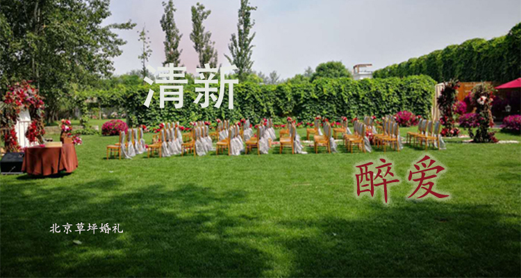 北京个人婚礼：26800元策划设计园林草坪旅行结婚